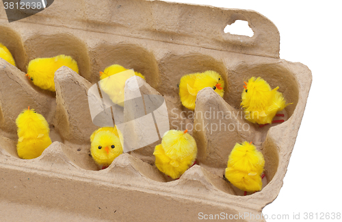 Image of Easter chicks in an eggbox