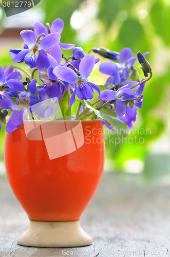 Image of violets flowers (Viola odorata) 