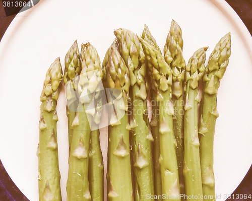 Image of Retro looking Asparagus vegetable