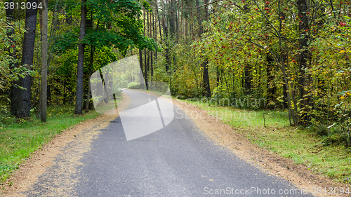 Image of The road passes through the autumn forest