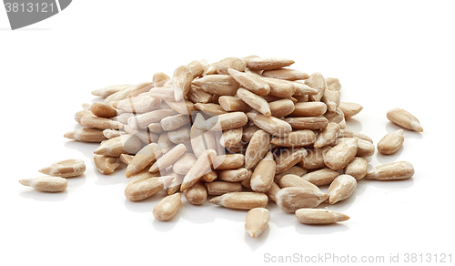 Image of sunflower seeds on white background