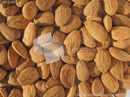 Image of Almonds dried fruit