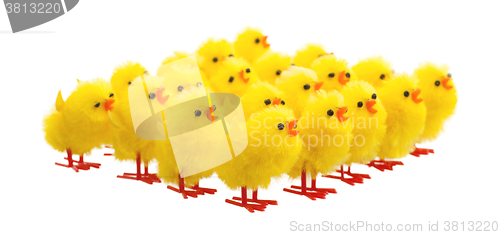 Image of Abundance of easter chicks, selective focus