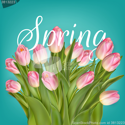 Image of Spring Tulip Flowers over white. EPS 10