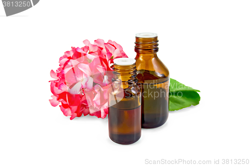 Image of Oil with pink geraniums in two dark bottles