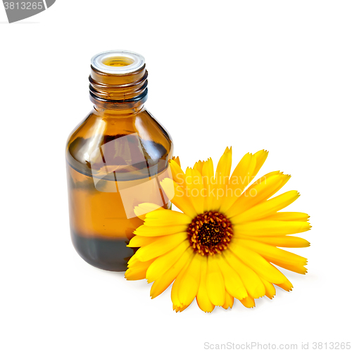 Image of Oil with calendula