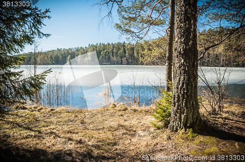 Image of Spring landscape at wood lake