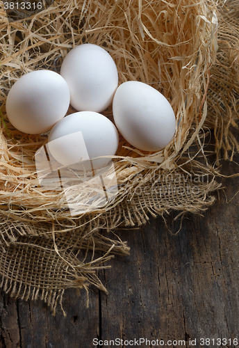 Image of Nest with eggs 