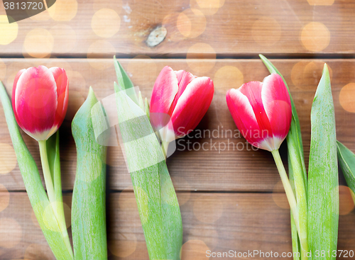 Image of close up of red tulip flowers on wooden table