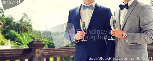 Image of close up of male gay couple with champagne glasses