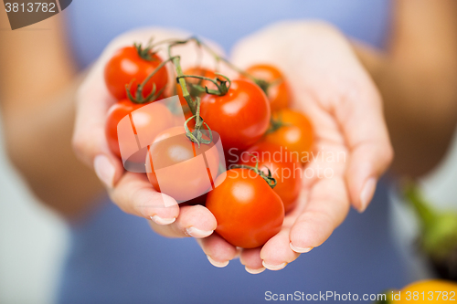 Image of close up of woman holding cherry tomatoes in hands