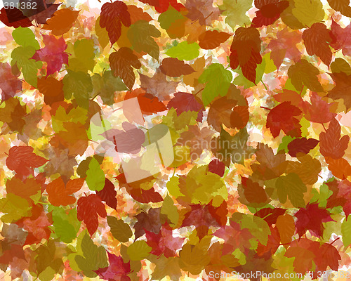 Image of autumn leaves