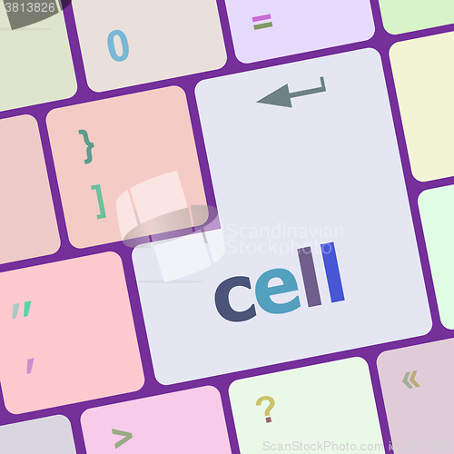 Image of cell word on keyboard key, notebook computer button vector illustration