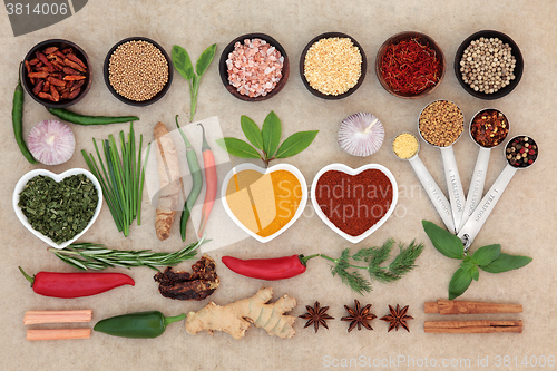 Image of Herb and Spice Sampler