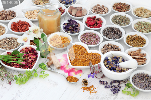 Image of Alternative Herbal Medicine