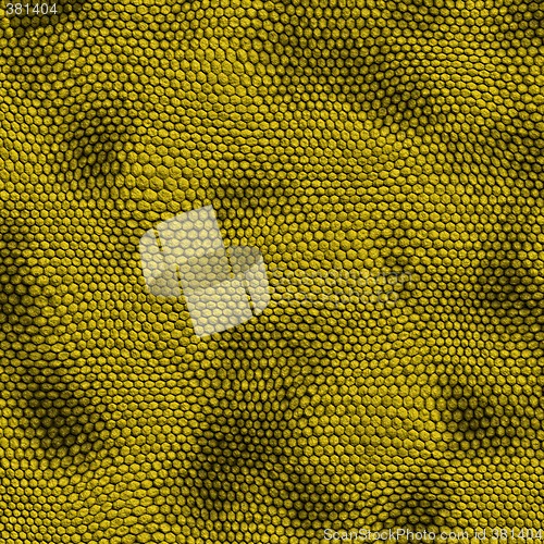 Image of yellow snake skin