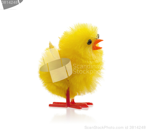 Image of Single easter chick, isolated