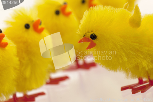 Image of Abundance of easter chicks, selective focus