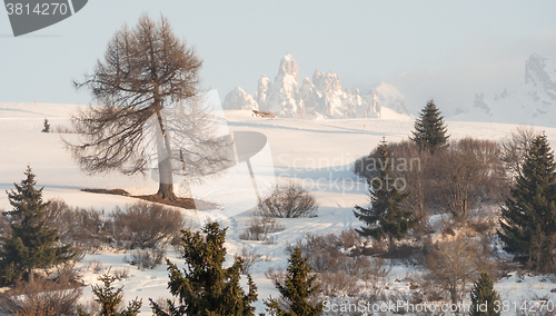 Image of A view of snow covered landscape