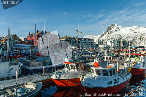 Image of skrei fishing