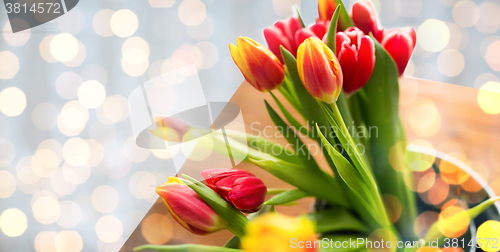 Image of close up of tulip flowers