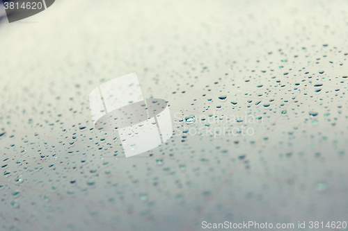 Image of close up of wet rear car glass