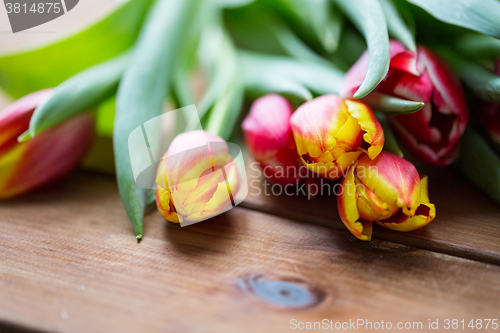 Image of close up of tulip flowers on wooden table