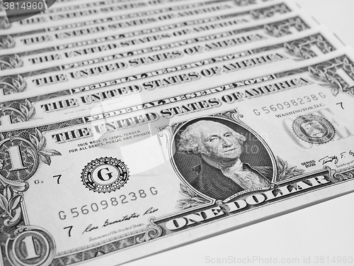 Image of Black and white Dollar notes 1 Dollar