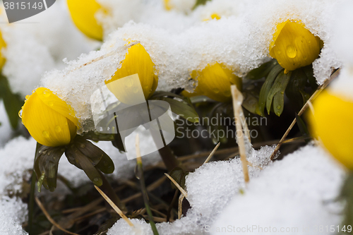 Image of snowed over