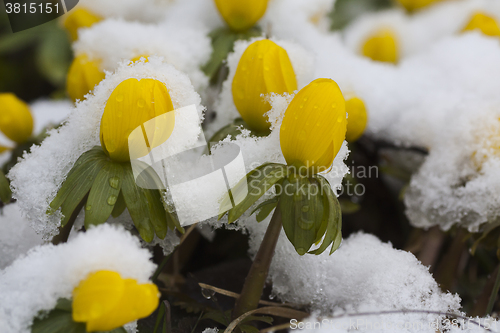 Image of snowed over