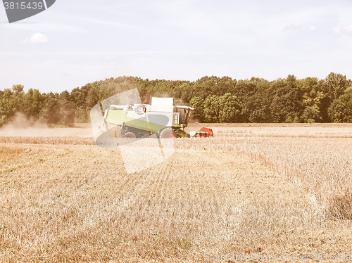 Image of  Harvest vintage