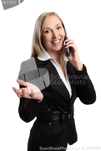 Image of Businesswoman telephone conversation