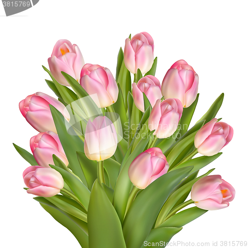 Image of Bouquet of pink tulips. EPS 10