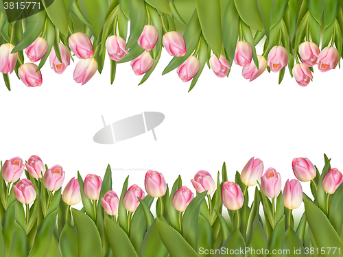 Image of Blossoming tulips decorative border. EPS 10