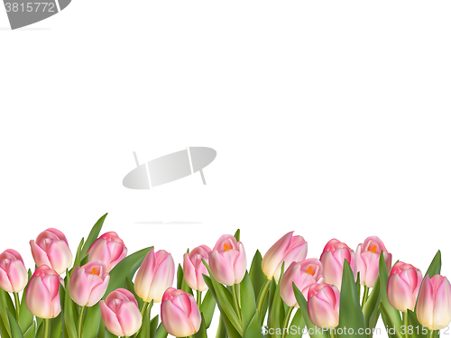 Image of Blossoming tulips decorative border. EPS 10