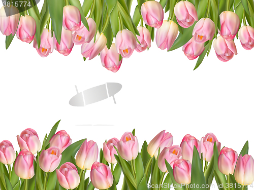 Image of Blossoming tulips decorative border. EPS 10