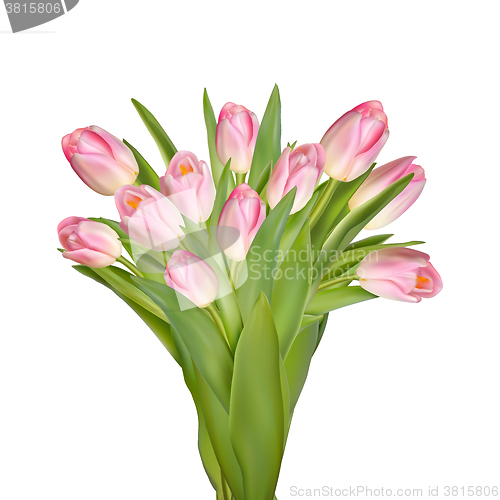 Image of Tulips decorative border. EPS 10
