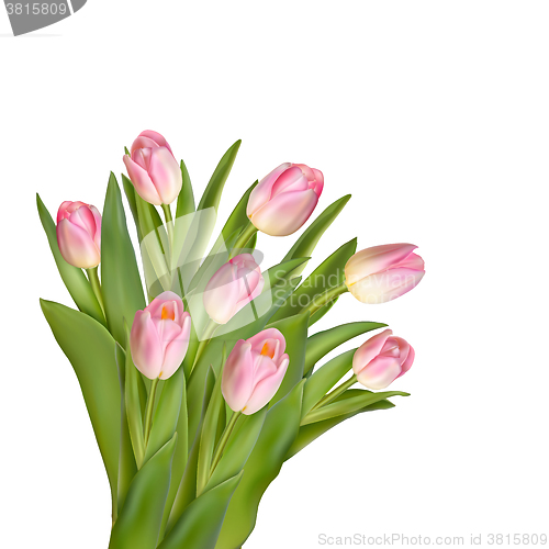 Image of Beautiful realistic tulip bouquet. EPS 10