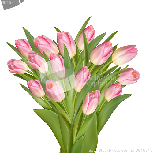 Image of Bunch of Spring Tulips Flowers. EPS 10
