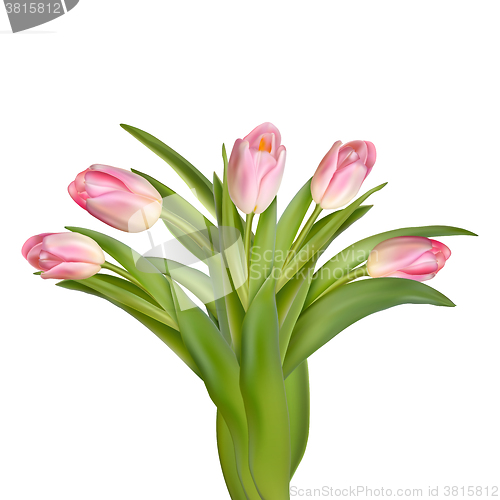 Image of Beautiful realistic tulip bouquet. EPS 10