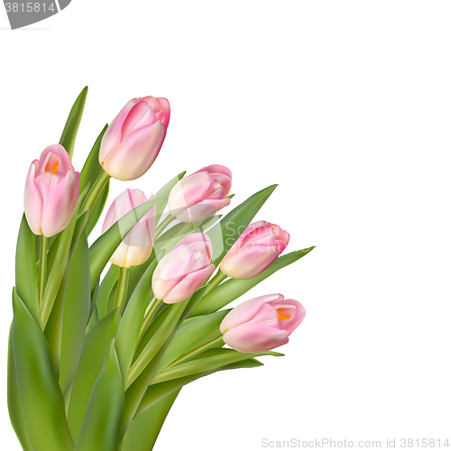 Image of Beautiful Spring Background With Tulips. EPS 10