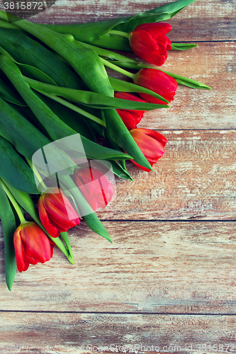 Image of close up of red tulips on wooden background