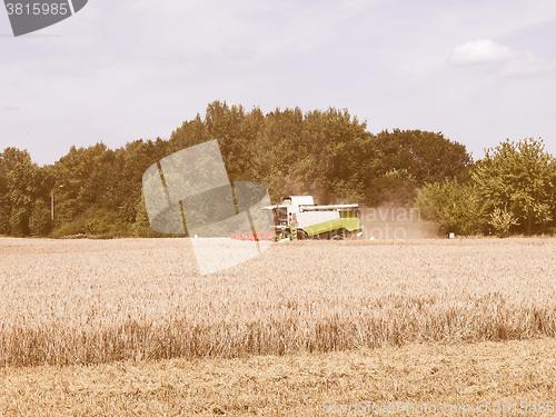 Image of  Harvest vintage