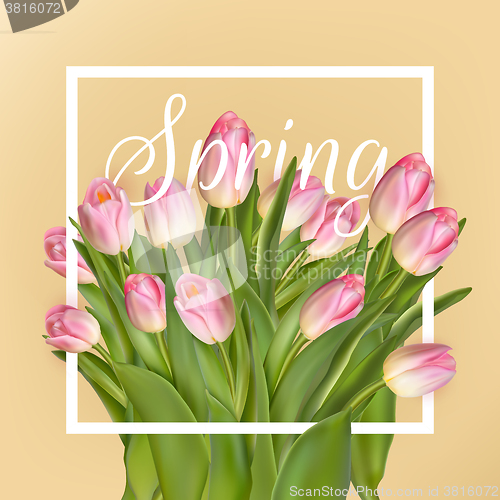 Image of Spring text with tulip flower. EPS 10