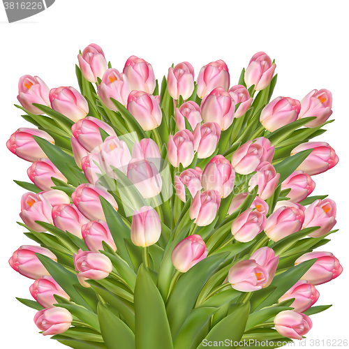 Image of Beautiful realistic tulip bouquet. EPS 10