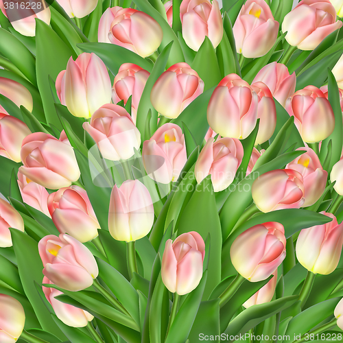 Image of Greeting card with tulips flowers. EPS 10