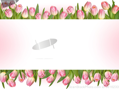 Image of Tulips design template or background. EPS 10