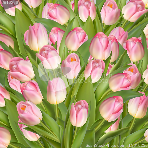 Image of Beautiful realistic tulip background. EPS 10