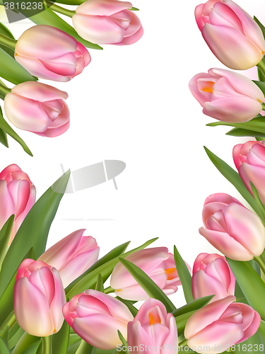 Image of Tulip flowers forming an abstract border. EPS 10