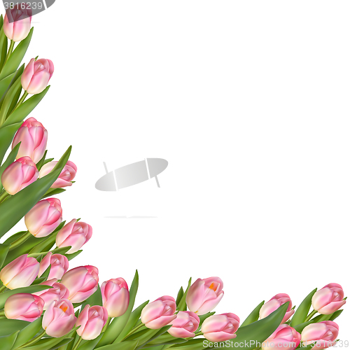Image of Tulip flower spring border. EPS 10